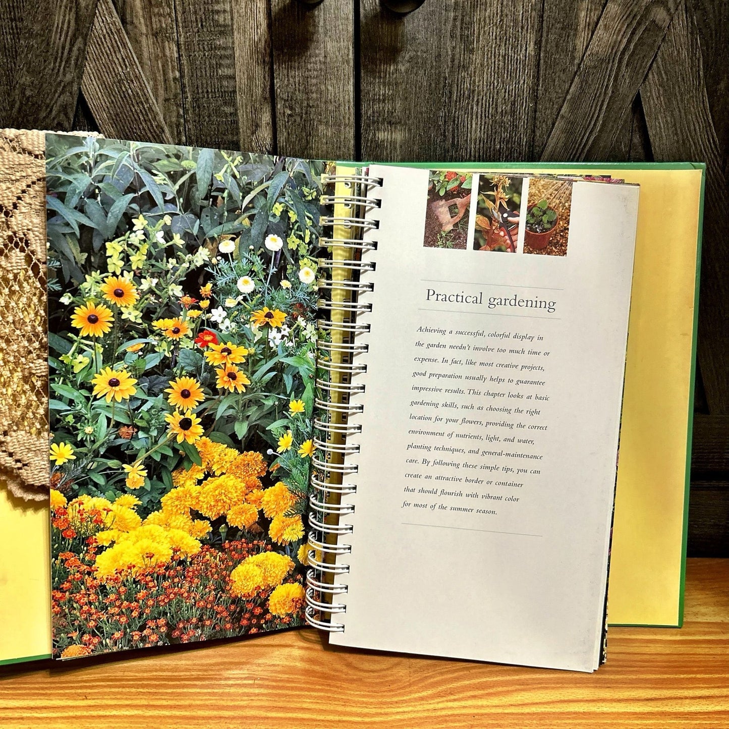 Gardening Book: Garden Color Guide