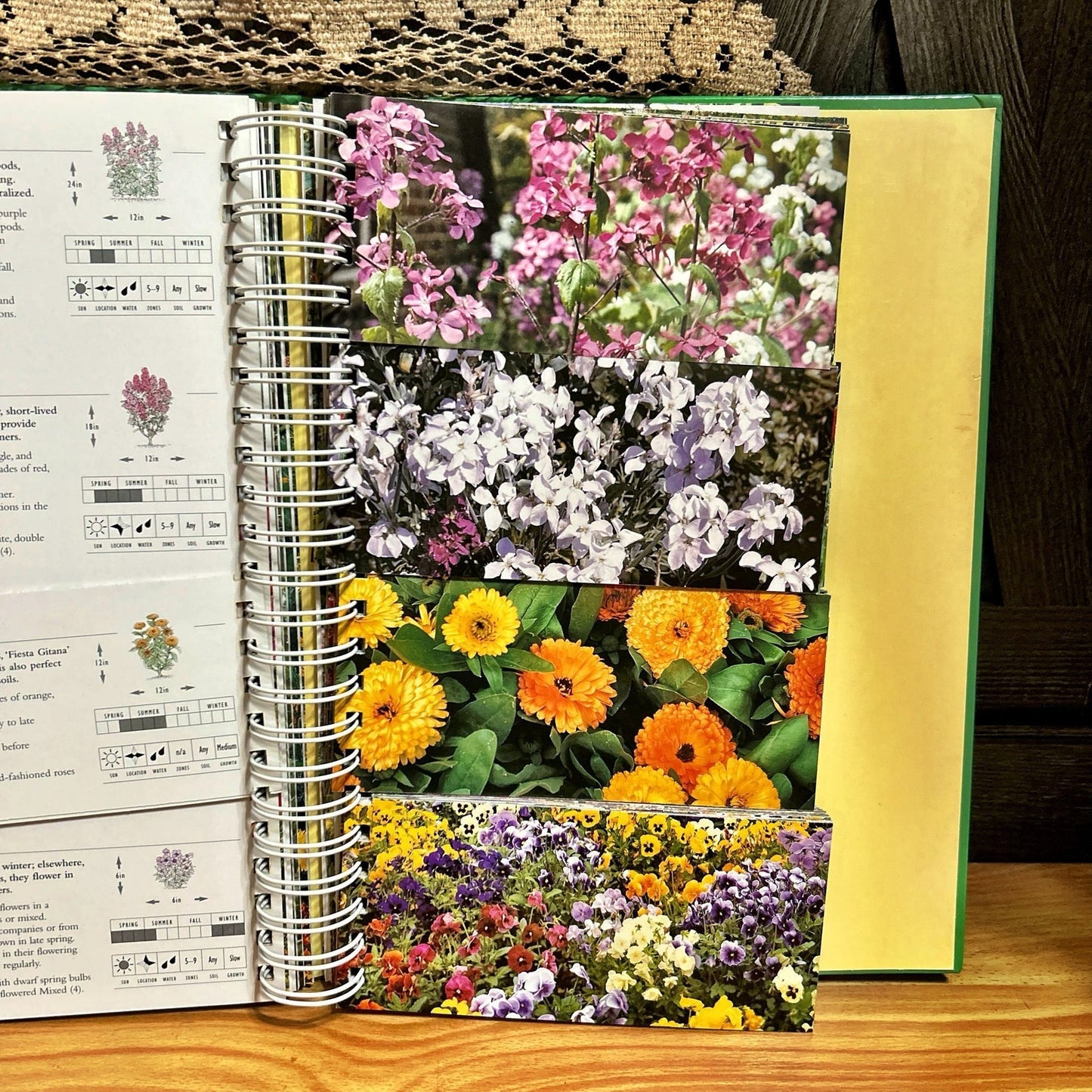 Gardening Book: Garden Color Guide