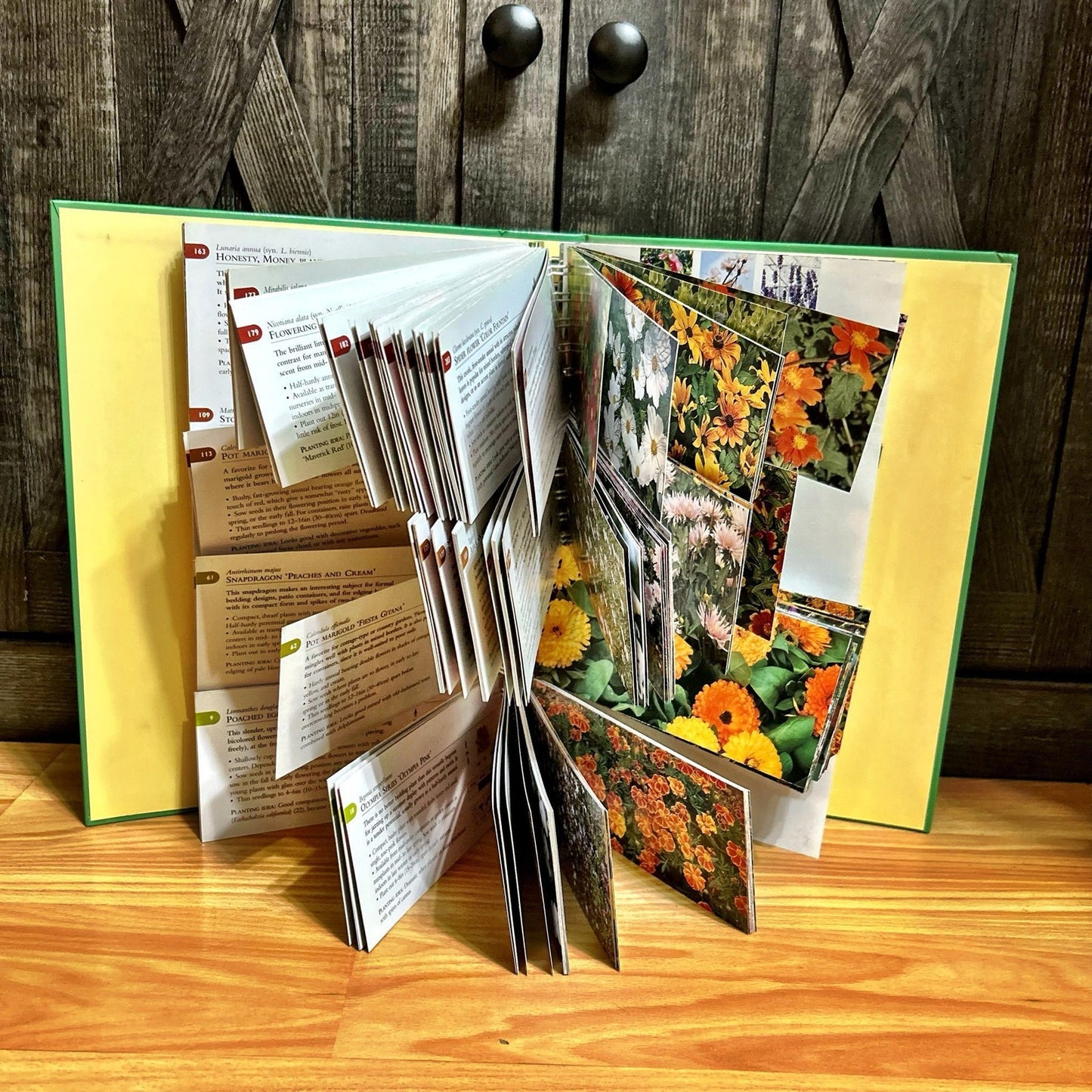 Gardening Book: Garden Color Guide